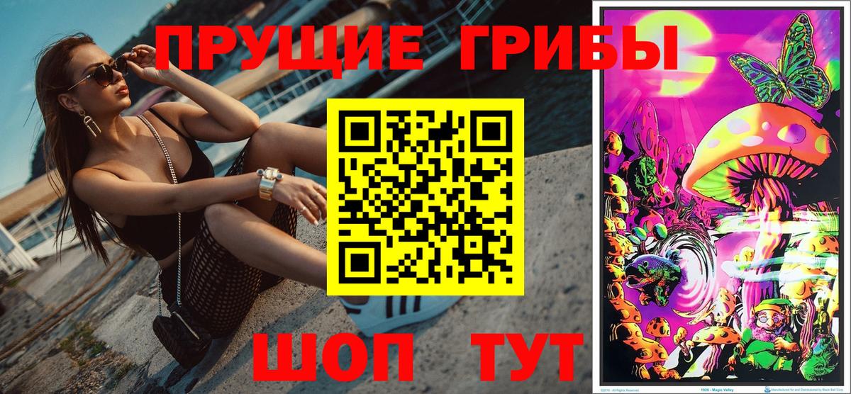 Псилоцибиновые грибы мицелий  Вход с VPN  Можга 